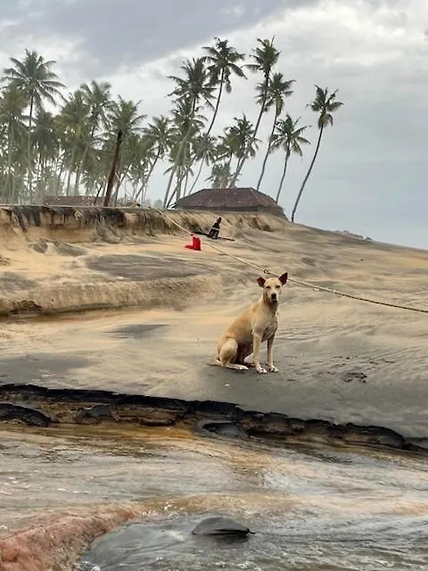 Pari'S Homestay Varkala 0*,